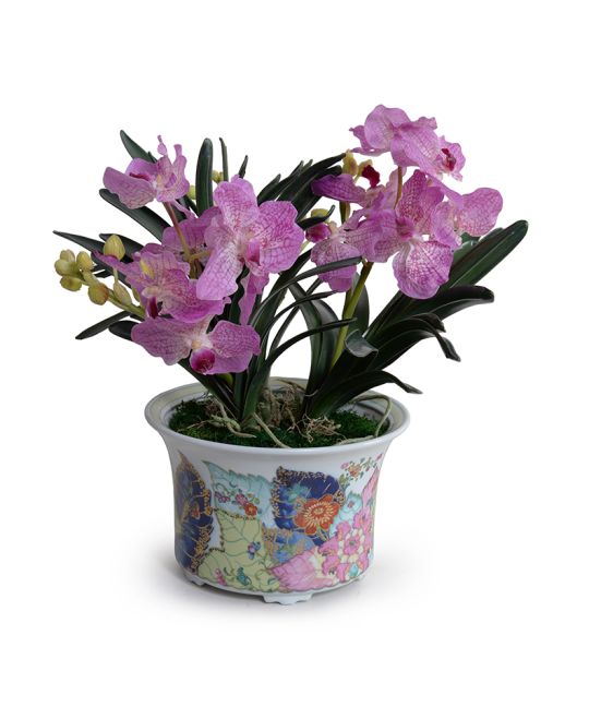 Tobacco Leaf Cachepot Large with Pink Vanda Orchids