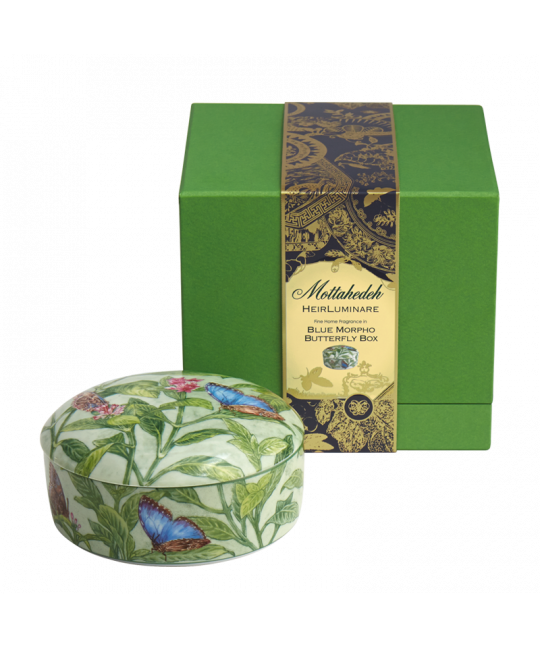 BUTTERFLY BOX HEIRLUMINARE, BLUE MORPHO