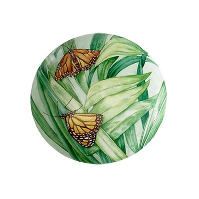 Monarch Butterflies - Butterfly Box